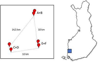 Trans-generational immune priming against American Foulbrood does not affect the performance of honeybee colonies